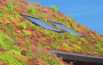Hadlow Down living roof systems
